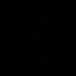 Meet your Posher, Shanice